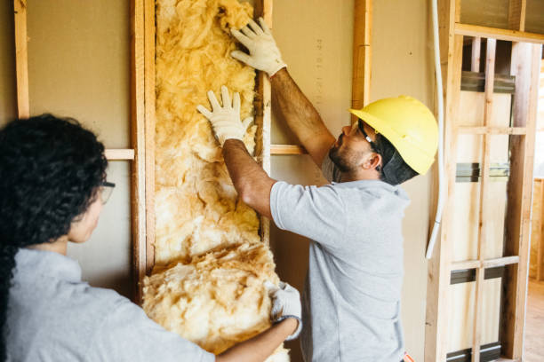 Professional Insulation in Vinton, IA